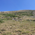 Peña Ten (202)